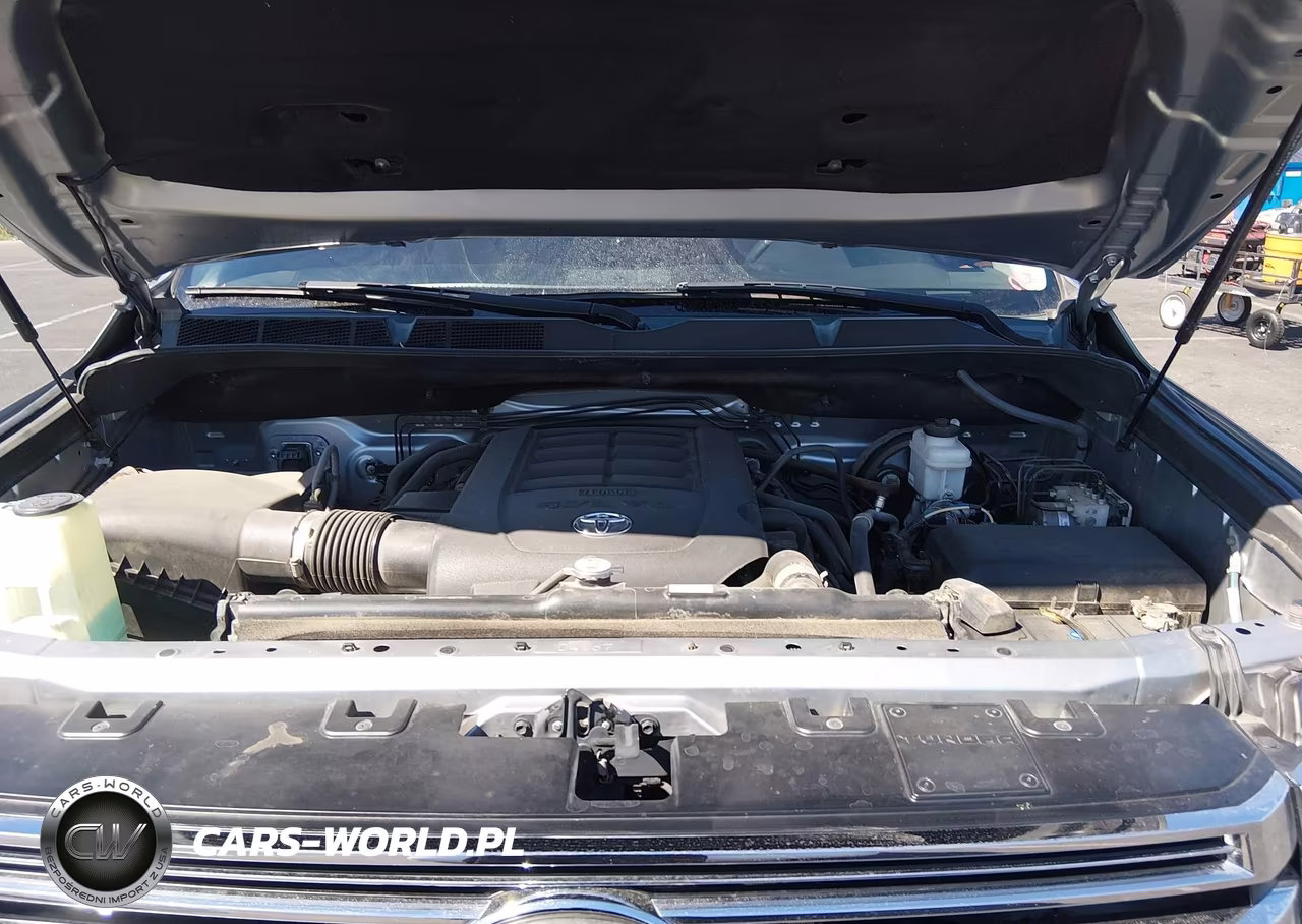 2019 Toyota Tundra 1794 5.7L V8 VIN:5TFAY5F16KX820250 - 10