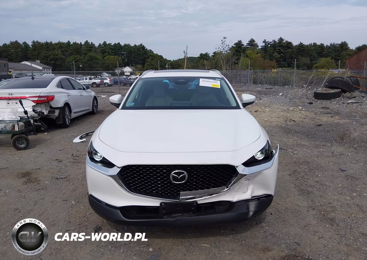 2025 Mazda Cx-30 2.5 S Preferred Package VIN:3MVDMBCM6SM840881 - 13