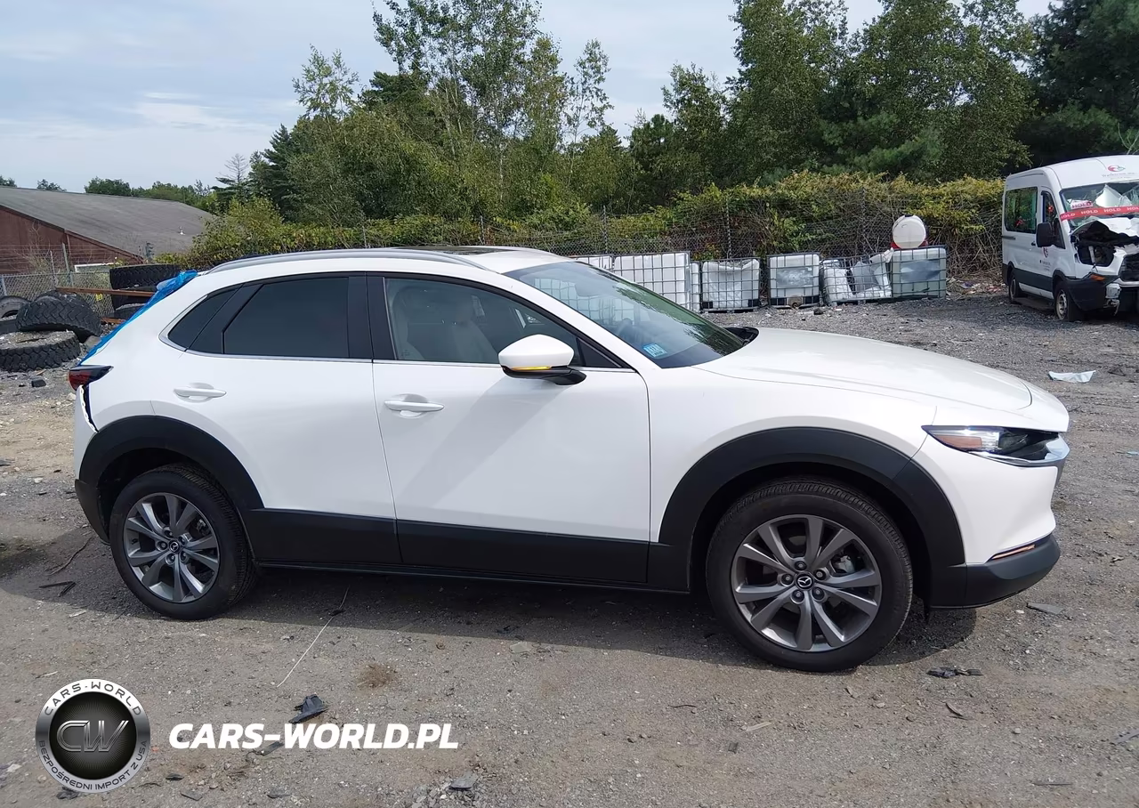 2025 Mazda Cx-30 2.5 S Preferred Package VIN:3MVDMBCM6SM840881 - 14