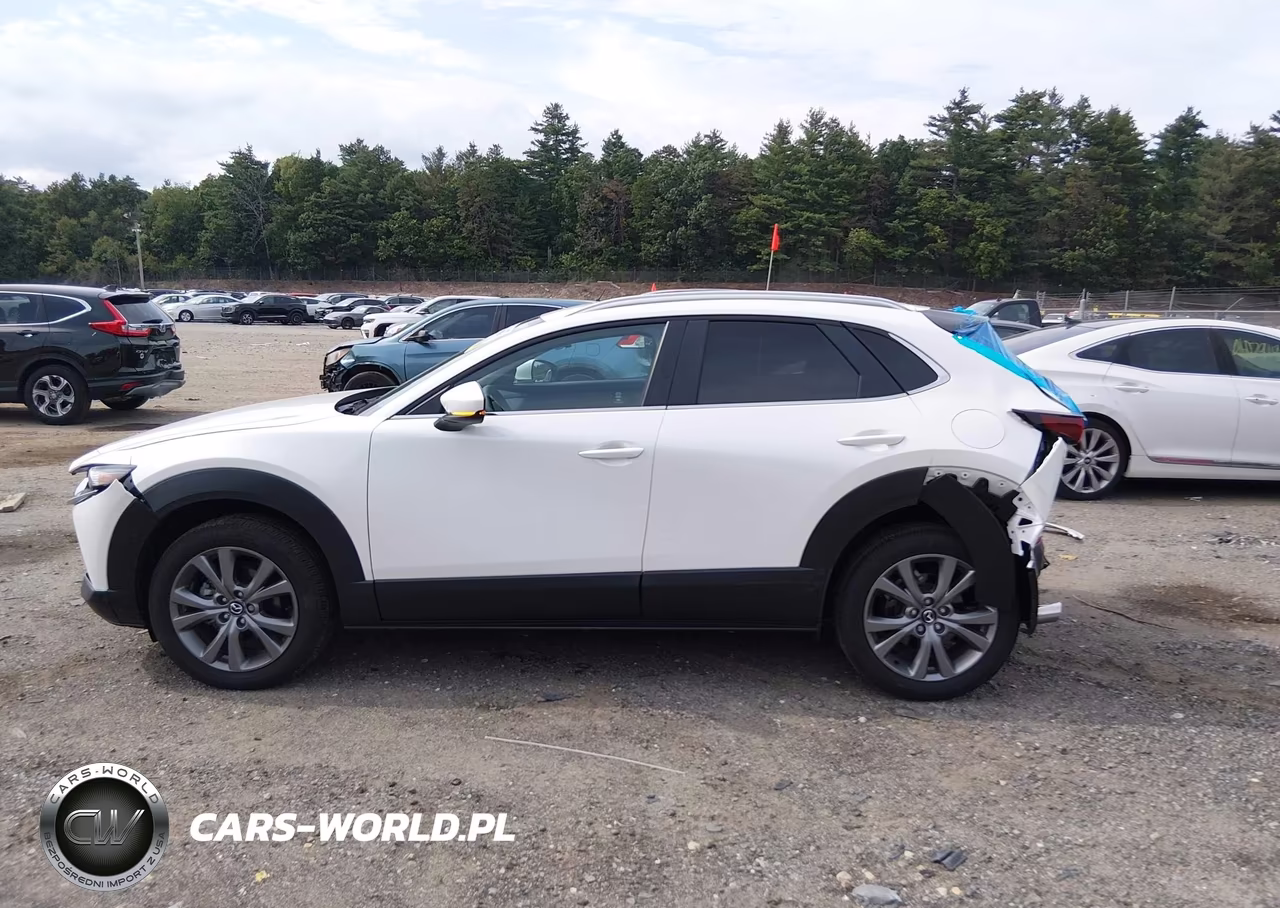 2025 Mazda Cx-30 2.5 S Preferred Package VIN:3MVDMBCM6SM840881 - 15