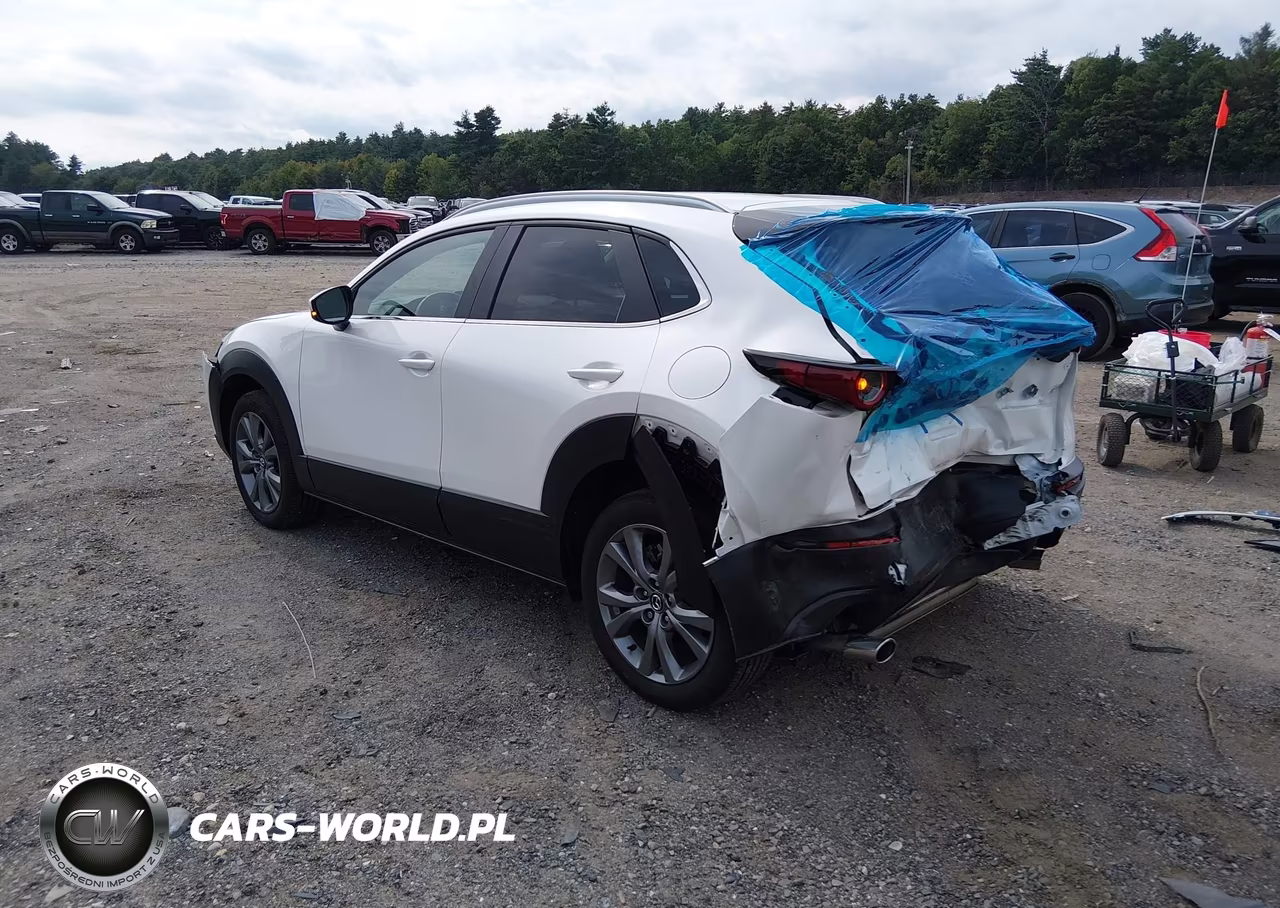 2025 Mazda Cx-30 2.5 S Preferred Package VIN:3MVDMBCM6SM840881 - 3