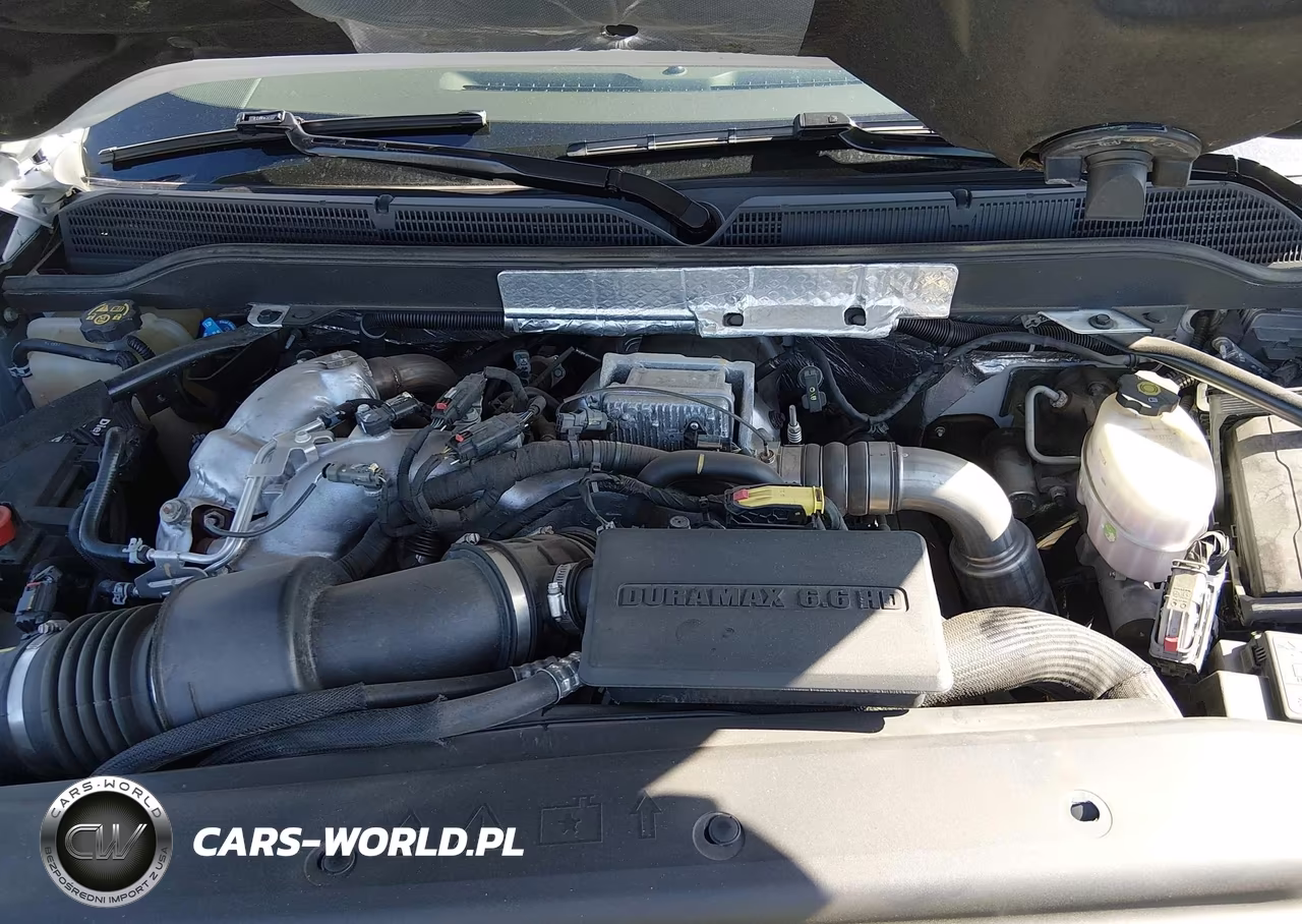 2019 Chevrolet Silverado 2500Hd Ltz VIN:1GC1KTEY6KF237347 - 10