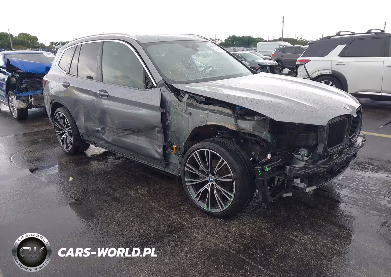 2024 BMW X3 Sdrive30I VIN:5UX43DP07R9W55799 - 1