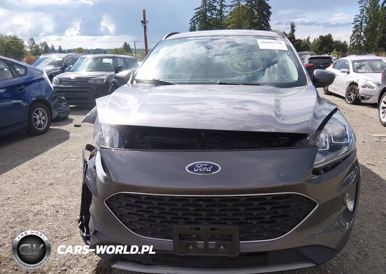2021 Ford Escape Sel Hybrid VIN:1FMCU0CZ9MUA78217 - 12