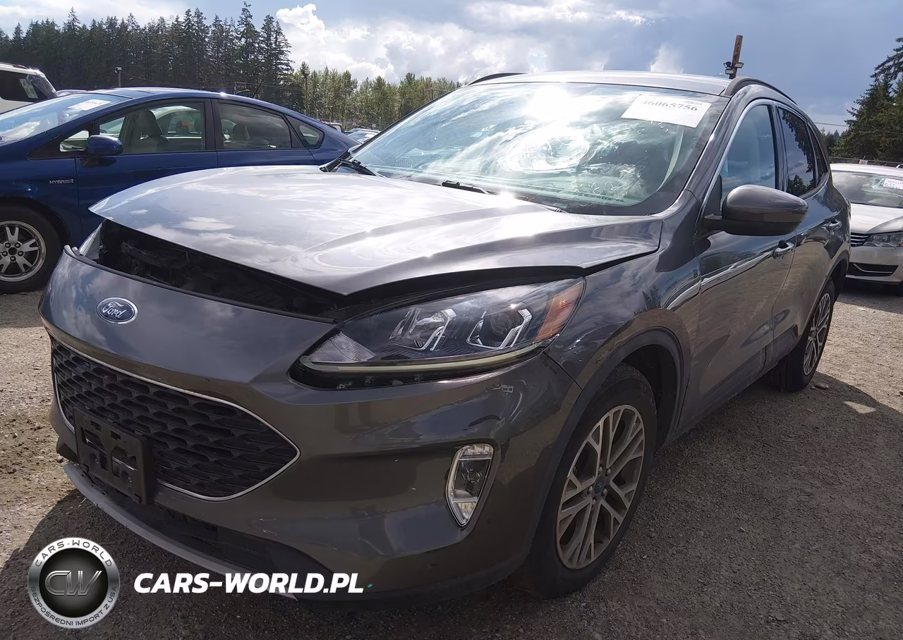 2021 Ford Escape Sel Hybrid VIN:1FMCU0CZ9MUA78217 - 2