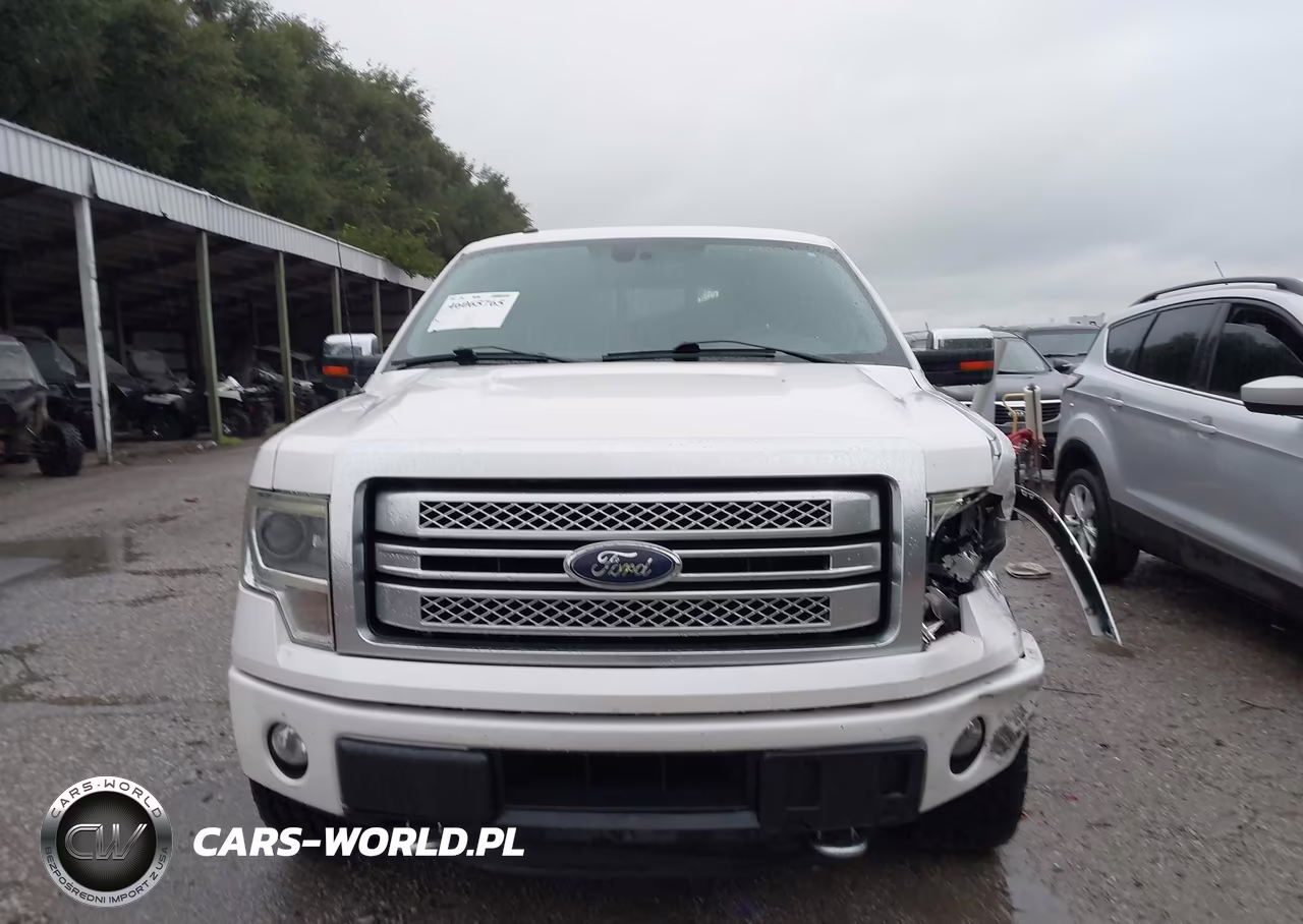 2014 Ford F-150 Platinum VIN:1FTFW1ET5EFC50789 - 12