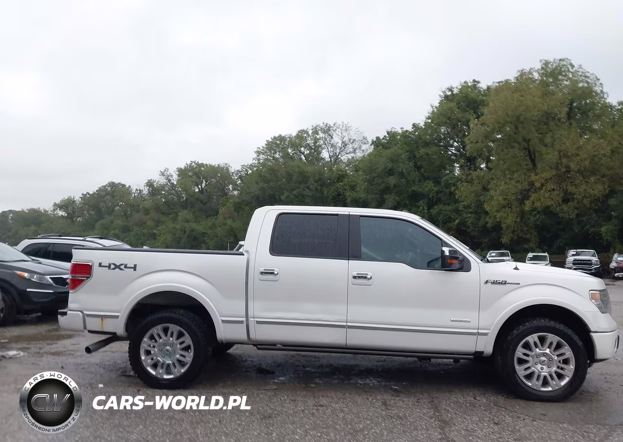 2014 Ford F-150 Platinum VIN:1FTFW1ET5EFC50789 - 13