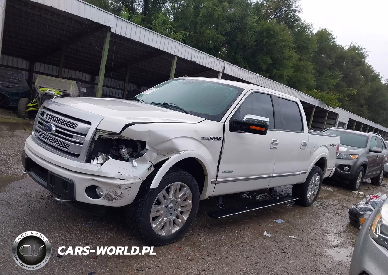 2014 Ford F-150 Platinum VIN:1FTFW1ET5EFC50789 - 14