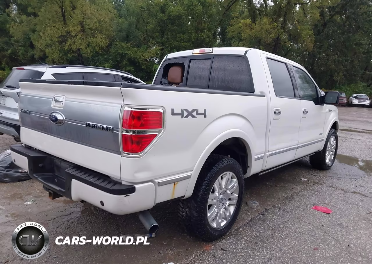 2014 Ford F-150 Platinum VIN:1FTFW1ET5EFC50789 - 4