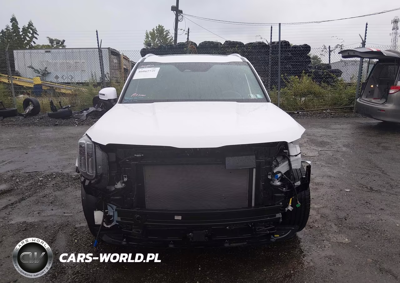 2025 Kia Telluride Sx VIN:5XYP54GC1SG673447 - 12