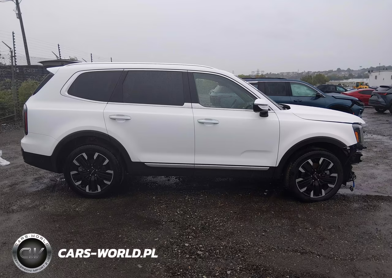 2025 Kia Telluride Sx VIN:5XYP54GC1SG673447 - 13
