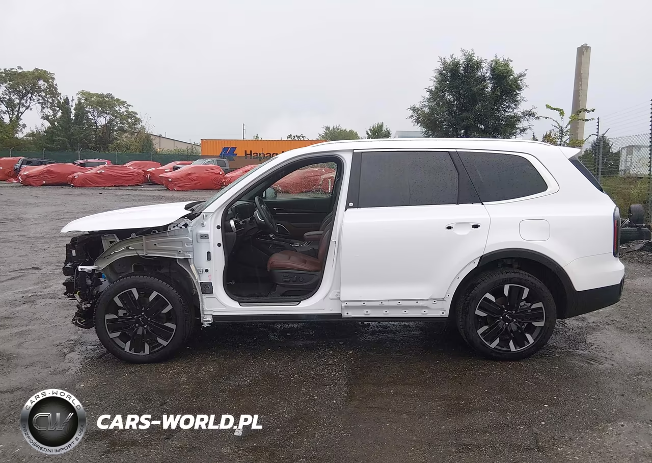 2025 Kia Telluride Sx VIN:5XYP54GC1SG673447 - 14