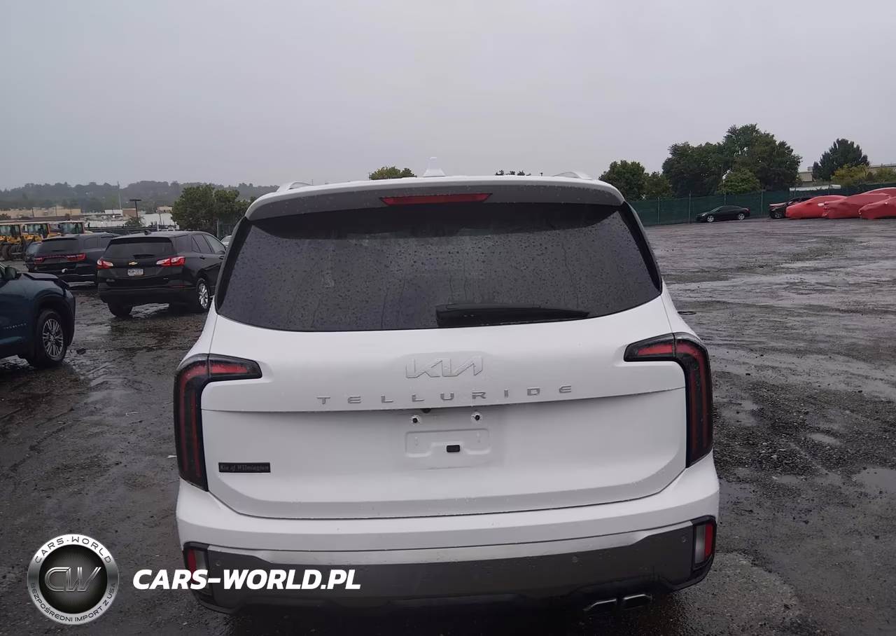 2025 Kia Telluride Sx VIN:5XYP54GC1SG673447 - 16