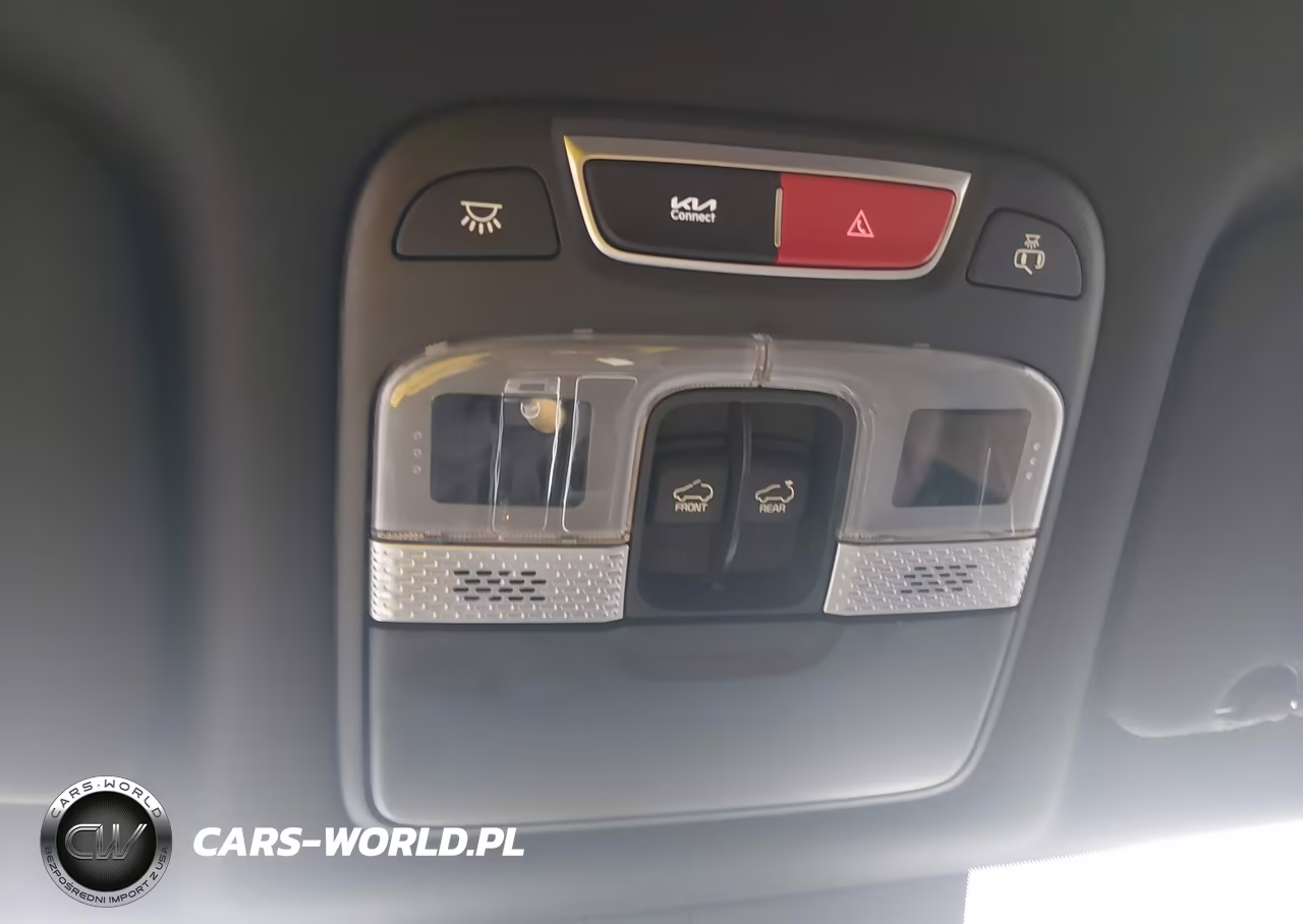 2025 Kia Telluride Sx VIN:5XYP54GC1SG673447 - 19