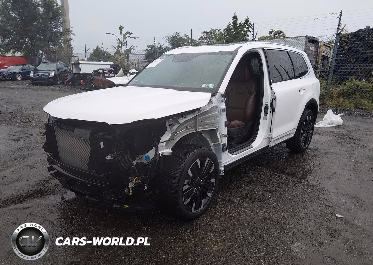 2025 Kia Telluride Sx VIN:5XYP54GC1SG673447 - 2