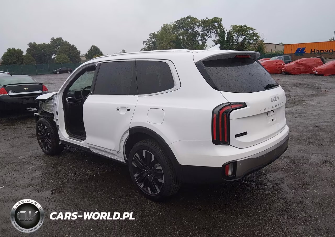 2025 Kia Telluride Sx VIN:5XYP54GC1SG673447 - 3