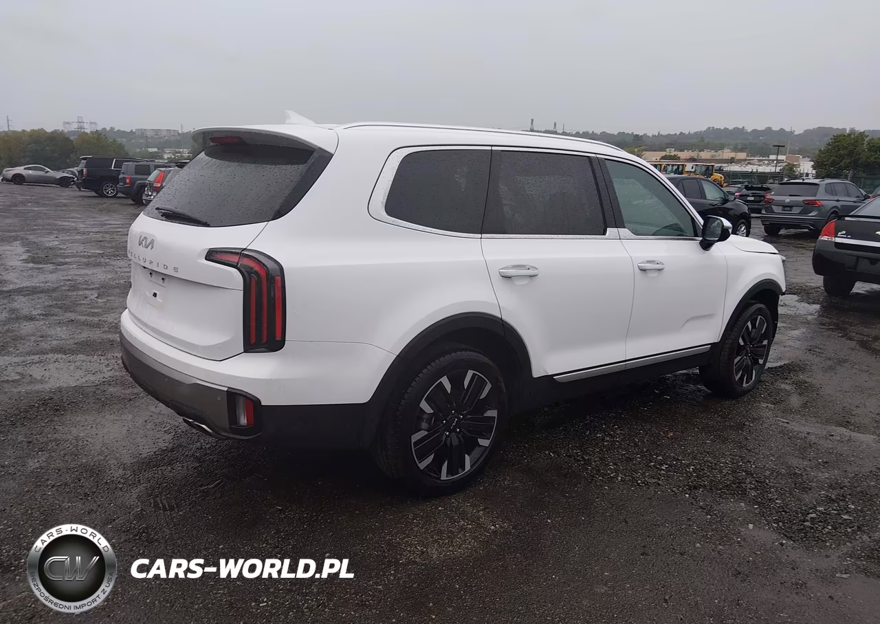 2025 Kia Telluride Sx VIN:5XYP54GC1SG673447 - 4