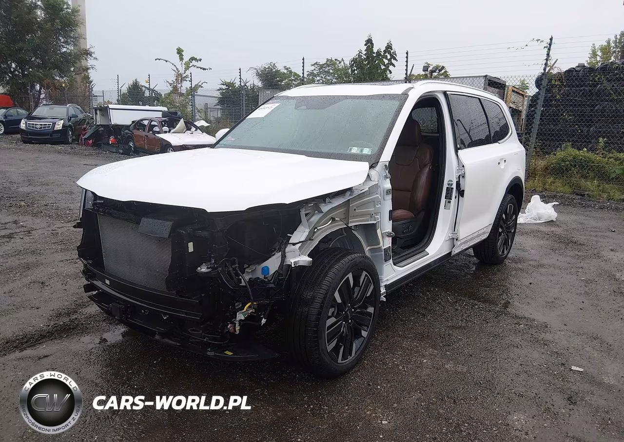 2025 Kia Telluride Sx VIN:5XYP54GC1SG673447 - 6