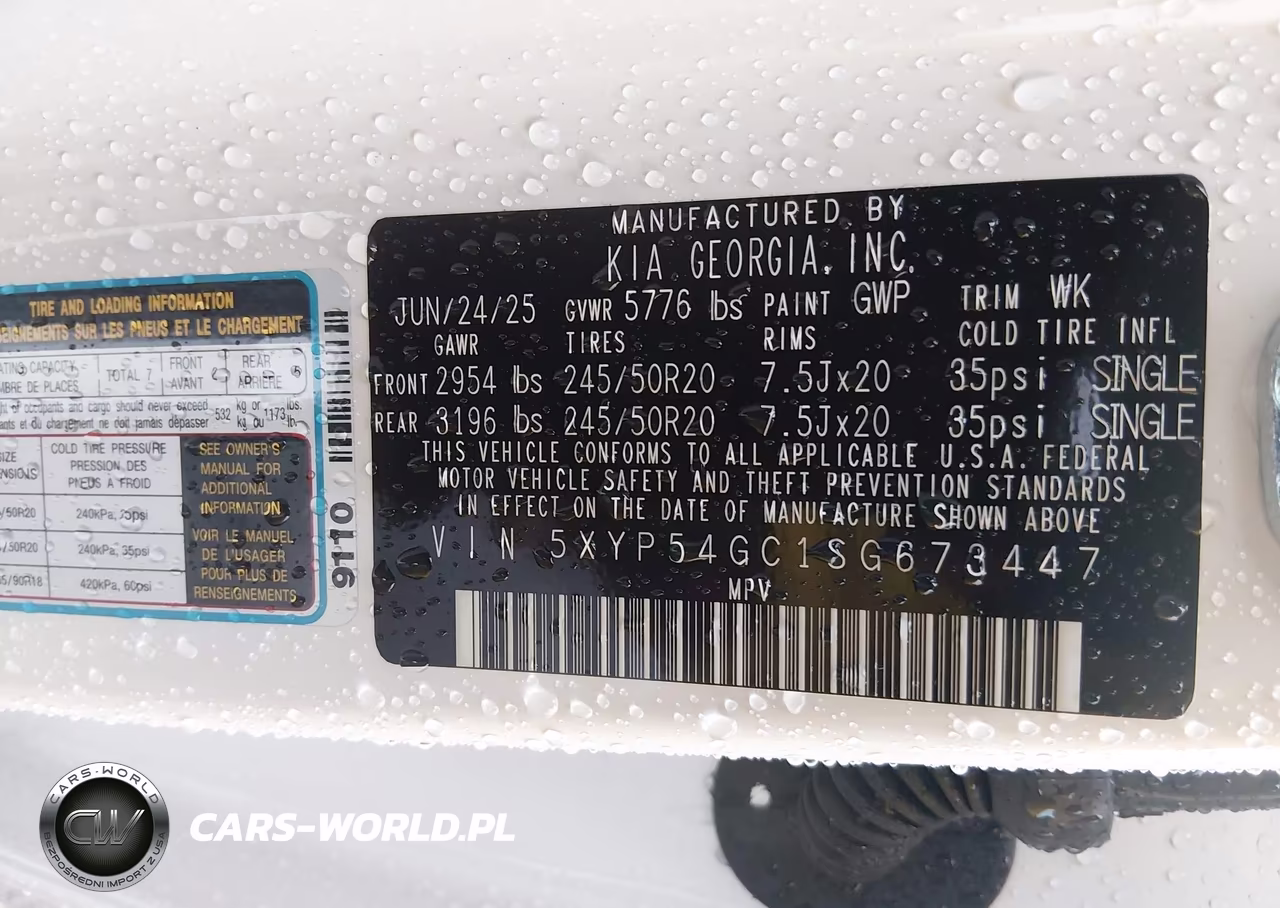 2025 Kia Telluride Sx VIN:5XYP54GC1SG673447 - 9