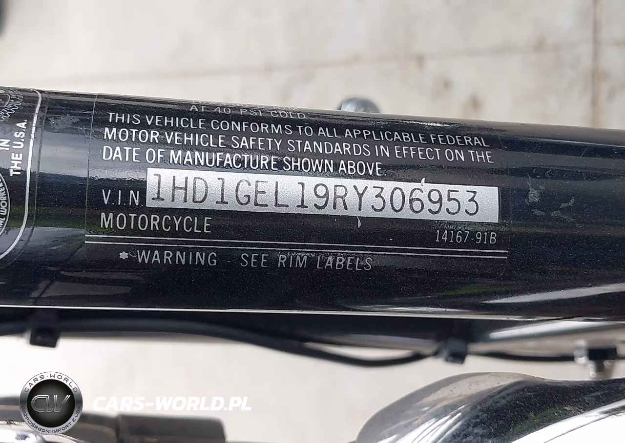 1994 Harley-Davidson Fxdwg VIN:1HD1GEL19RY306953 - 10