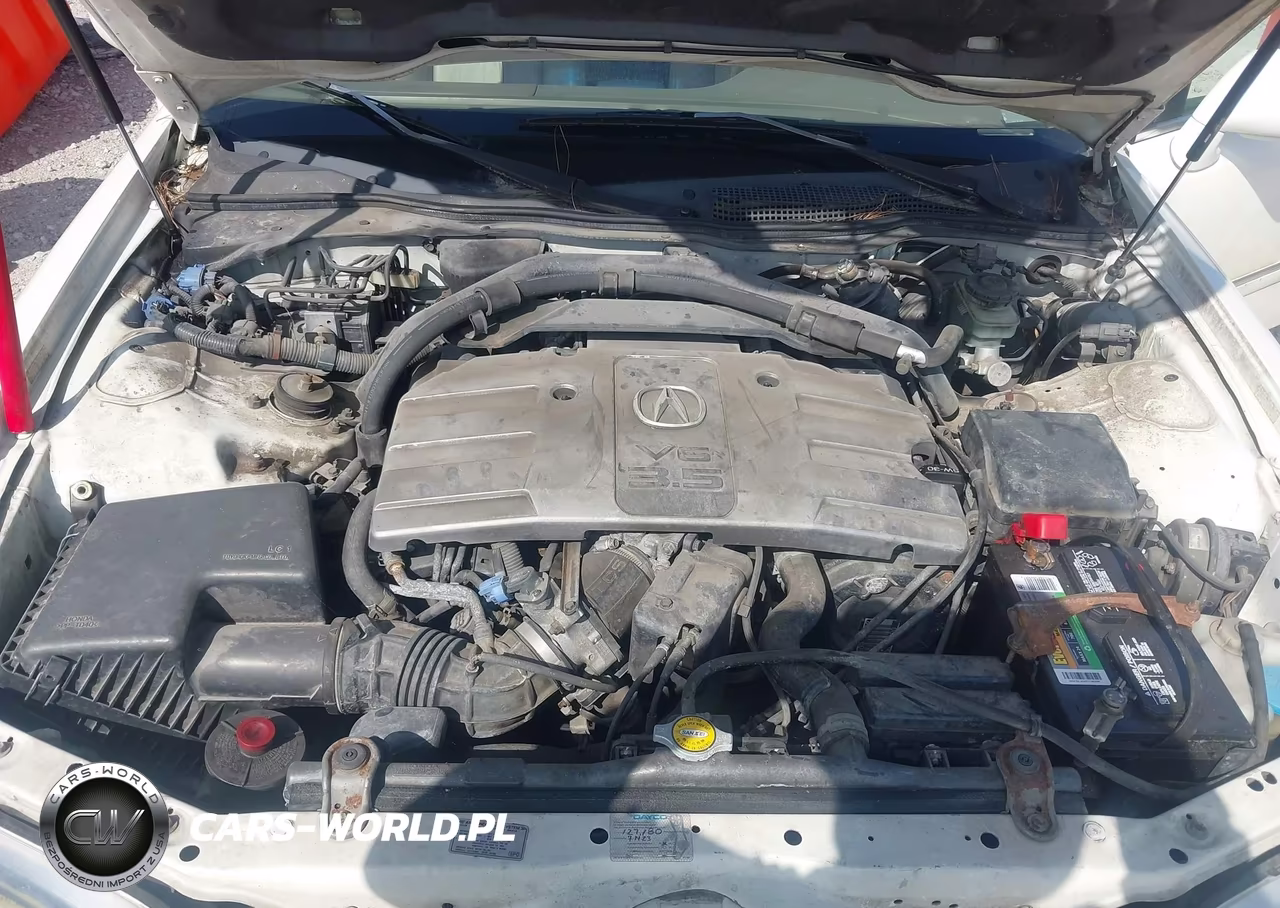 2004 Acura Rl 3.5 VIN:JH4KA96604C002923 - 10