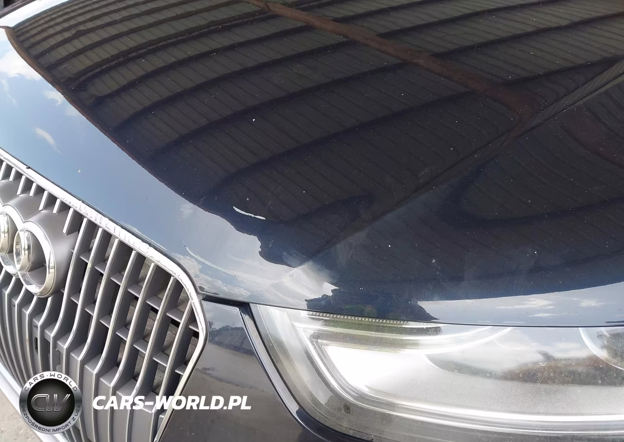 2013 Audi Allroad Prestige VIN:WA1VFAFL6DA133402 - 6