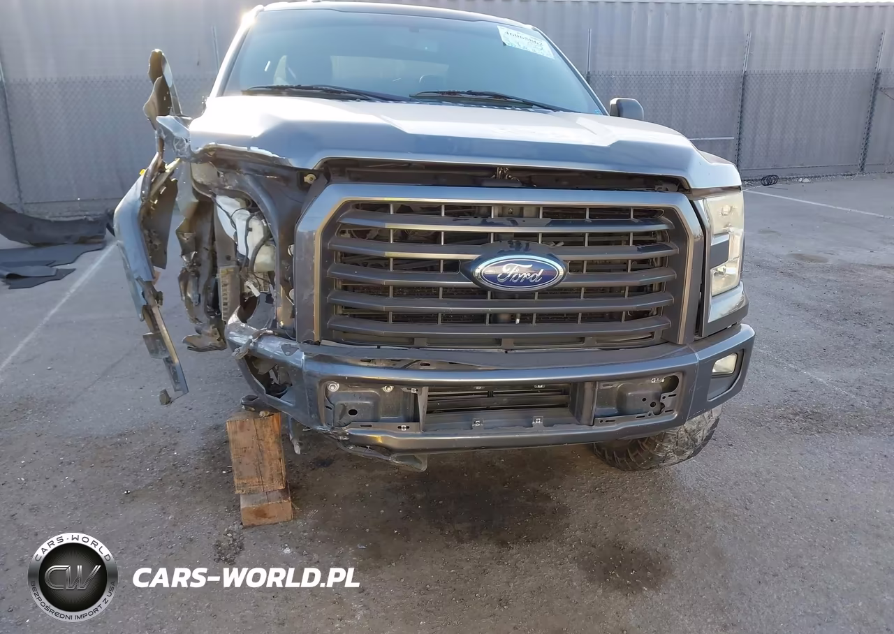 2015 Ford F-150 Xlt VIN:1FTEW1CP3FKF24534 - 14