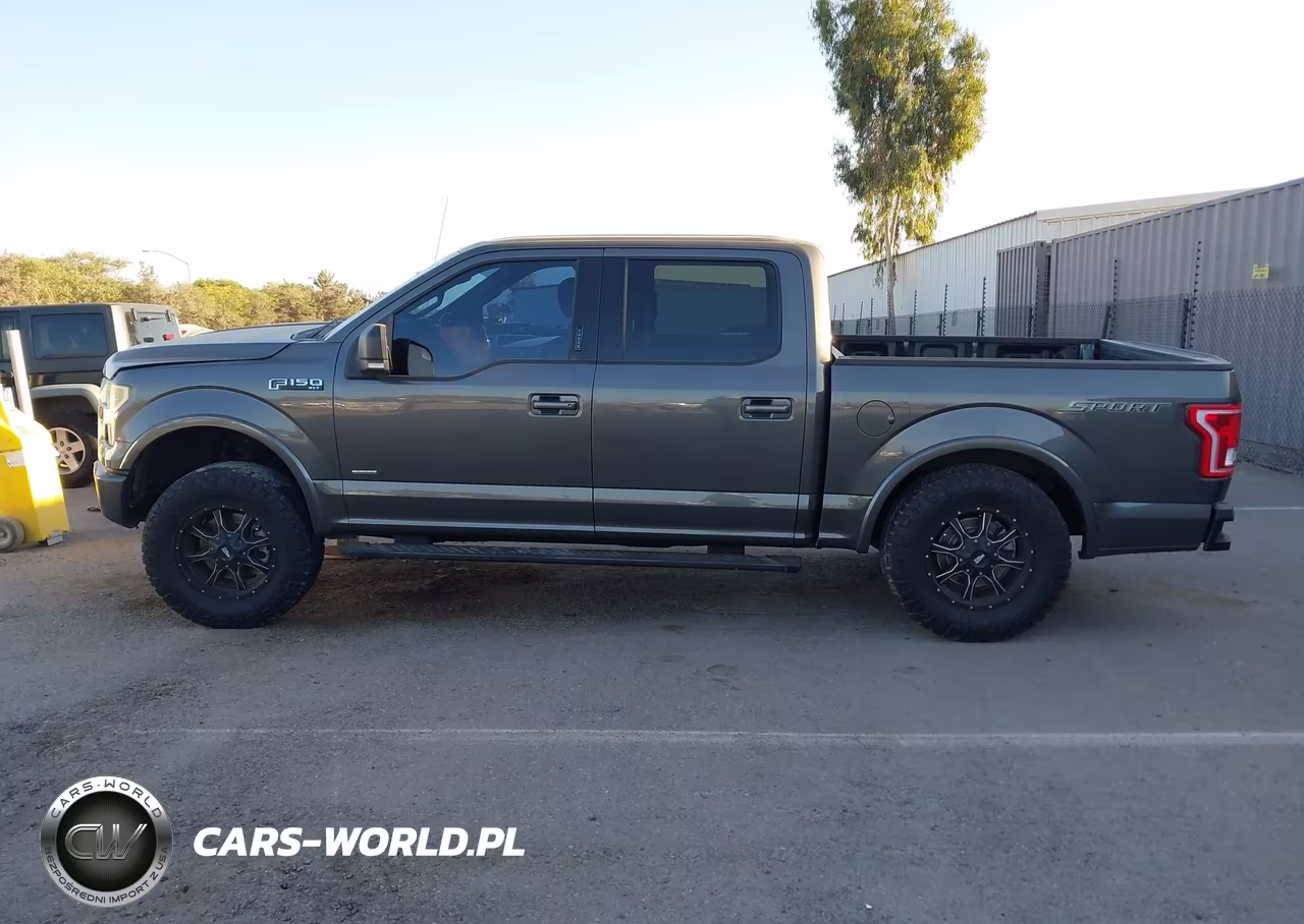 2015 Ford F-150 Xlt VIN:1FTEW1CP3FKF24534 - 17