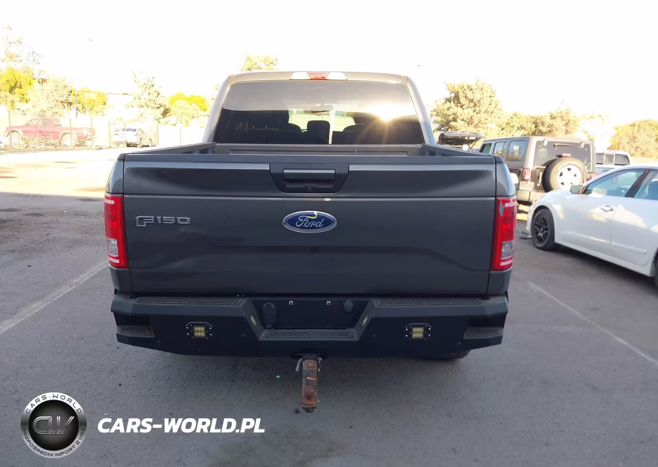 2015 Ford F-150 Xlt VIN:1FTEW1CP3FKF24534 - 19