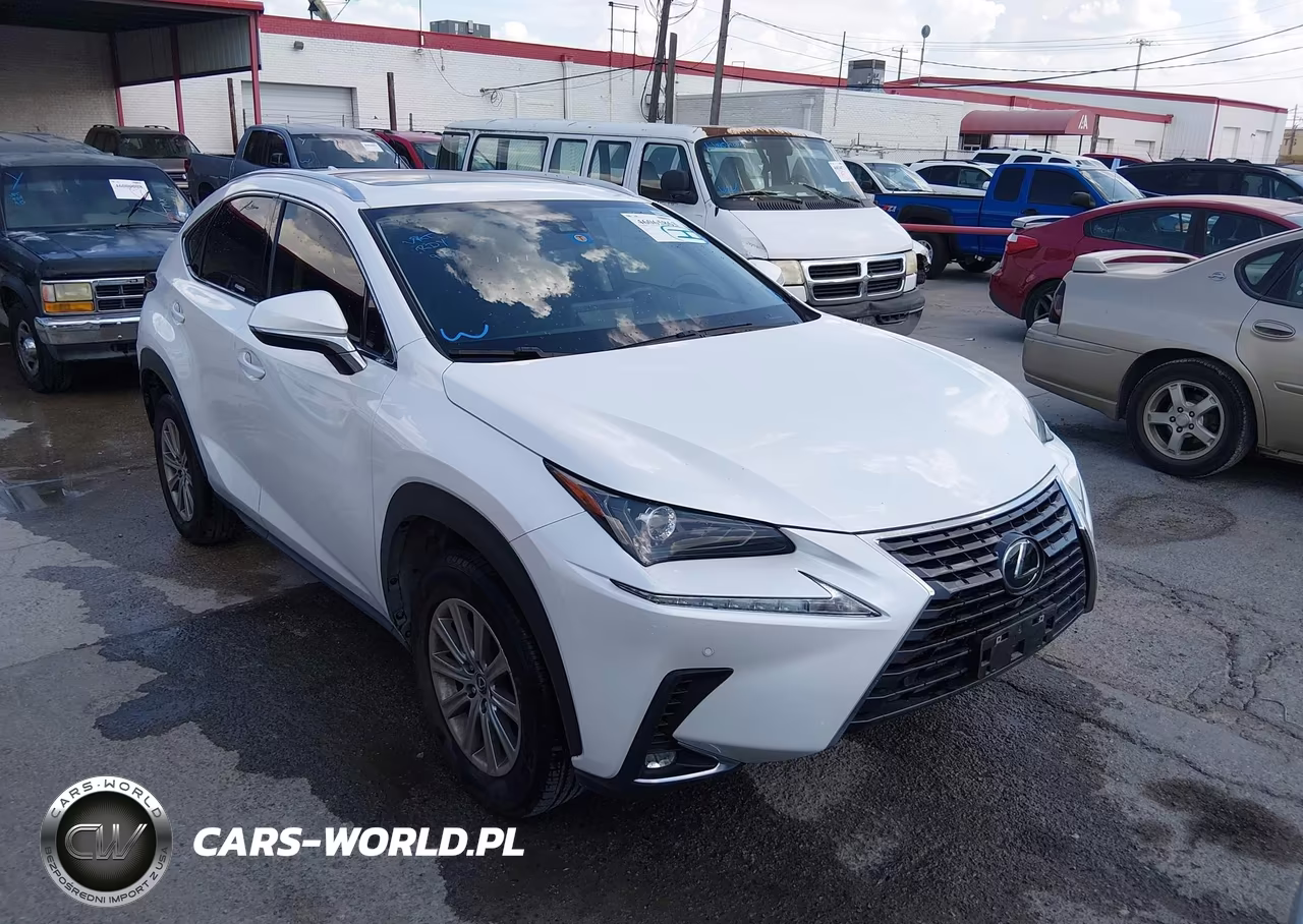 2021 Lexus Nx 300 VIN:JTJDARBZ7M5034554 - 1