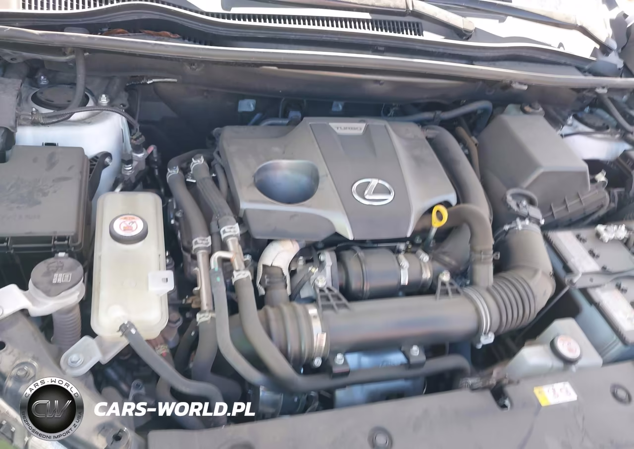 2021 Lexus Nx 300 VIN:JTJDARBZ7M5034554 - 10