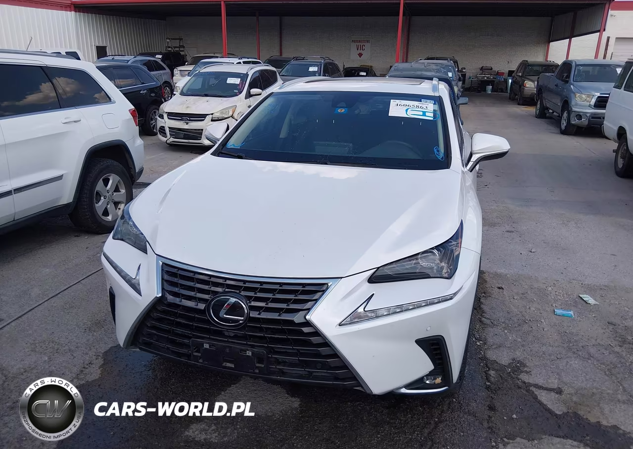 2021 Lexus Nx 300 VIN:JTJDARBZ7M5034554 - 12