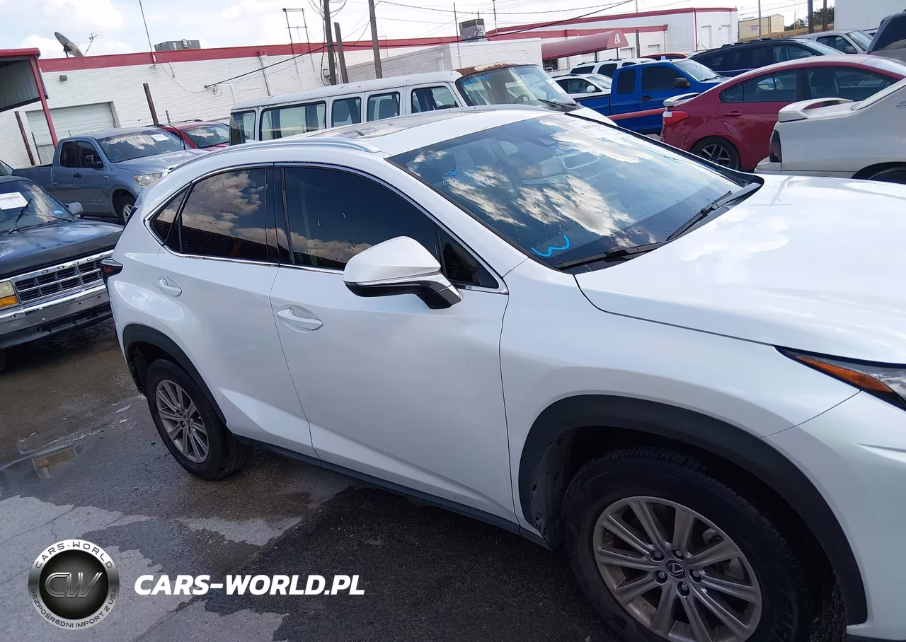 2021 Lexus Nx 300 VIN:JTJDARBZ7M5034554 - 13