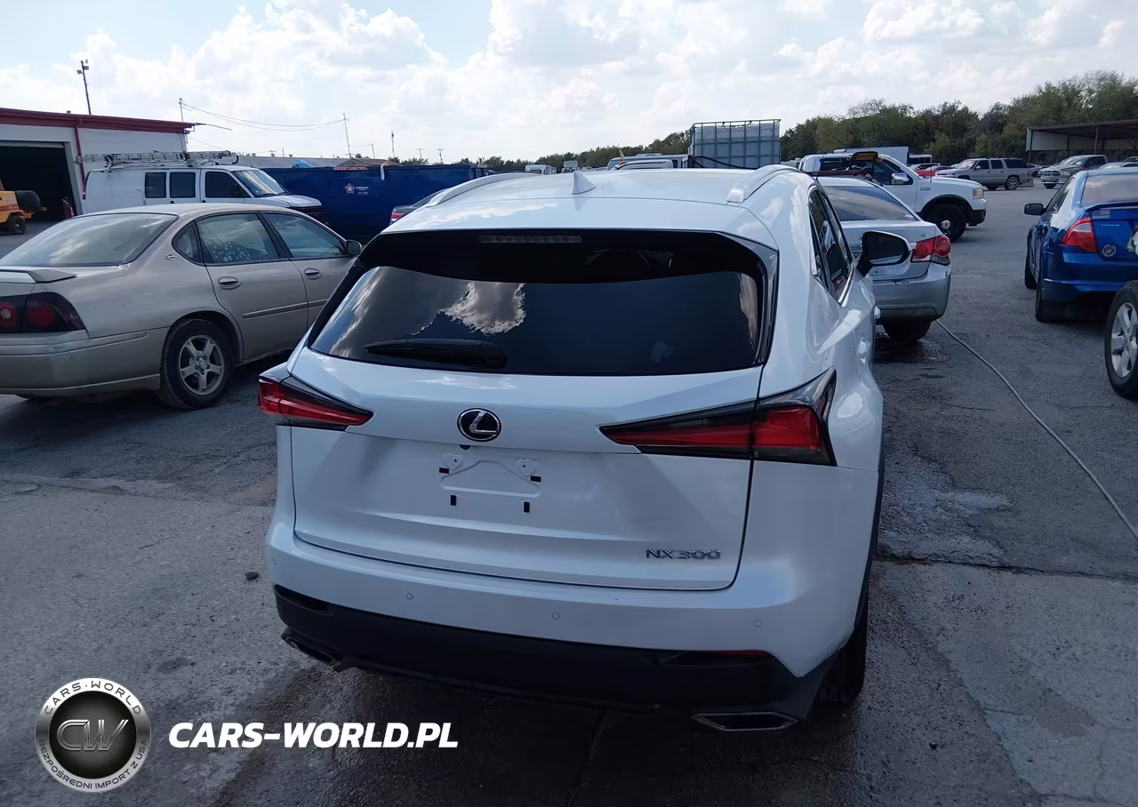 2021 Lexus Nx 300 VIN:JTJDARBZ7M5034554 - 16