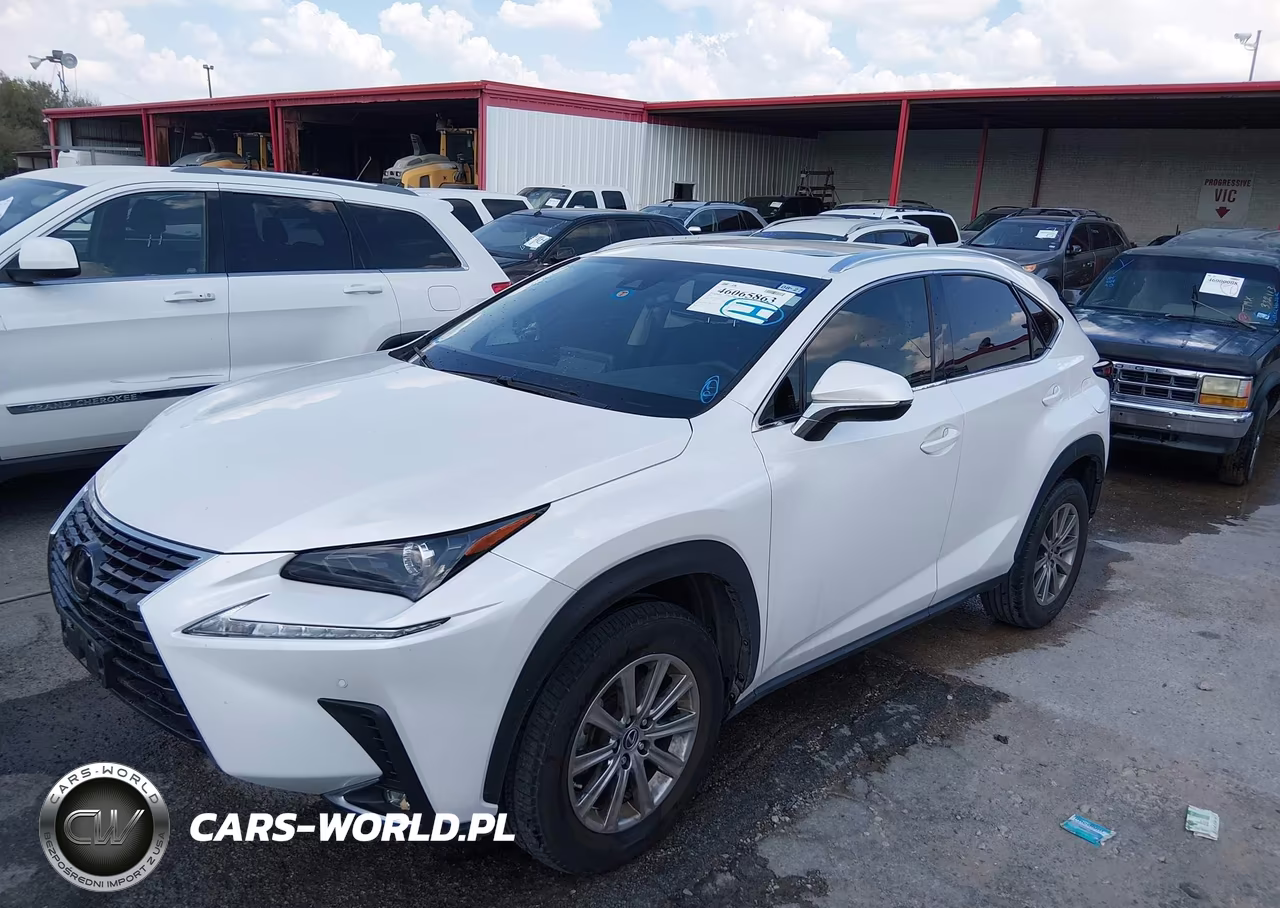 2021 Lexus Nx 300 VIN:JTJDARBZ7M5034554 - 2