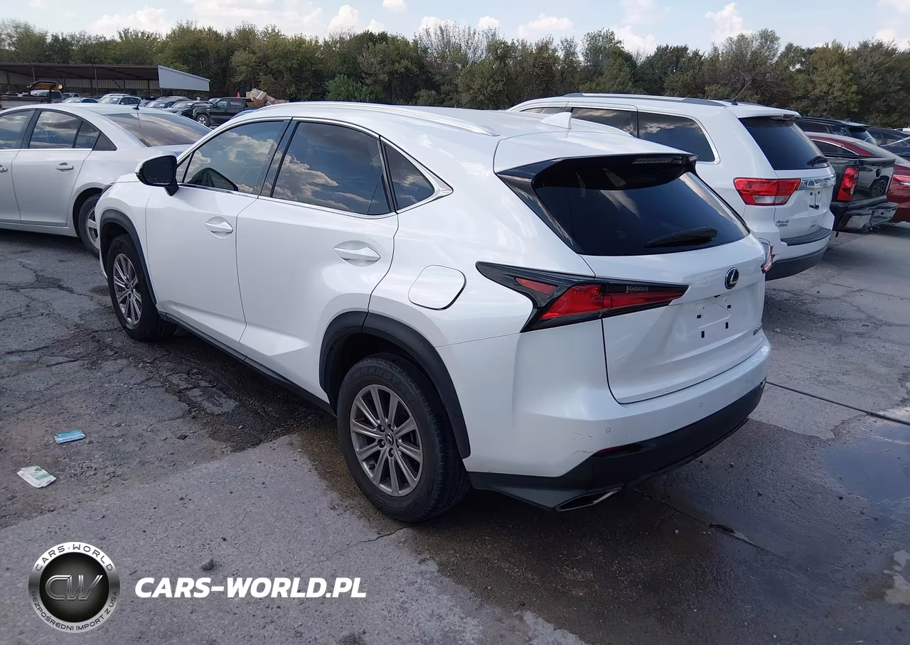 2021 Lexus Nx 300 VIN:JTJDARBZ7M5034554 - 3