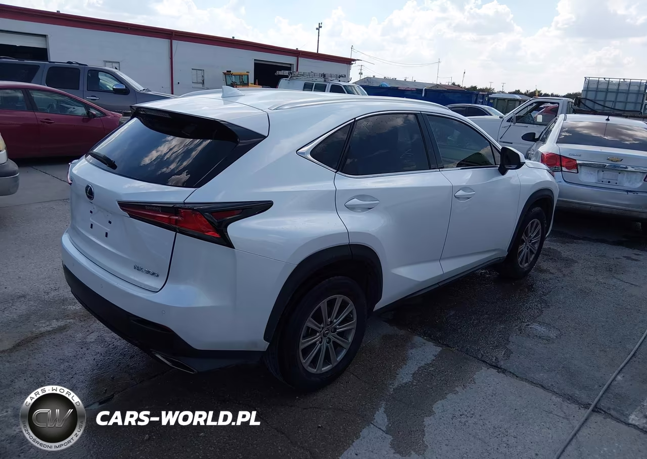 2021 Lexus Nx 300 VIN:JTJDARBZ7M5034554 - 4