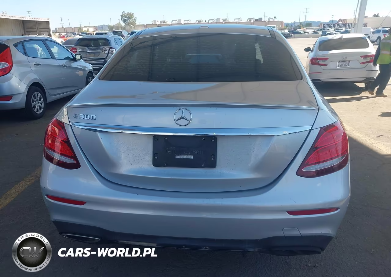 2019 Mercedes-Benz E 300 VIN:WDDZF4JB4KA596942 - 17