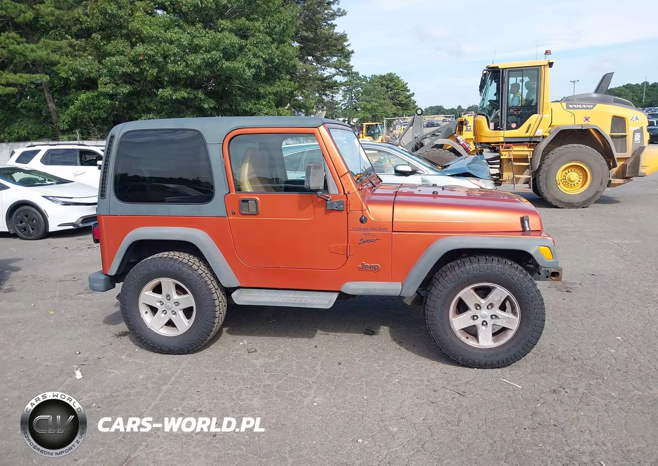 2001 Jeep Wrangler Sport VIN:1J4FA49SX1P374590 - 13