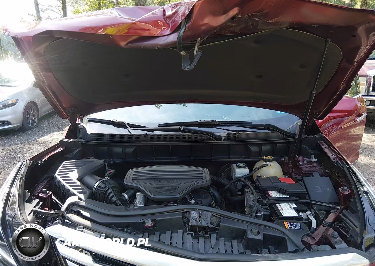 2019 Cadillac Xt5 Luxury VIN:1GYKNDRS1KZ185559 - 10