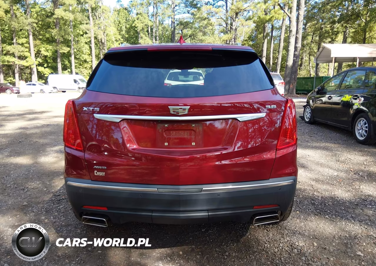 2019 Cadillac Xt5 Luxury VIN:1GYKNDRS1KZ185559 - 16
