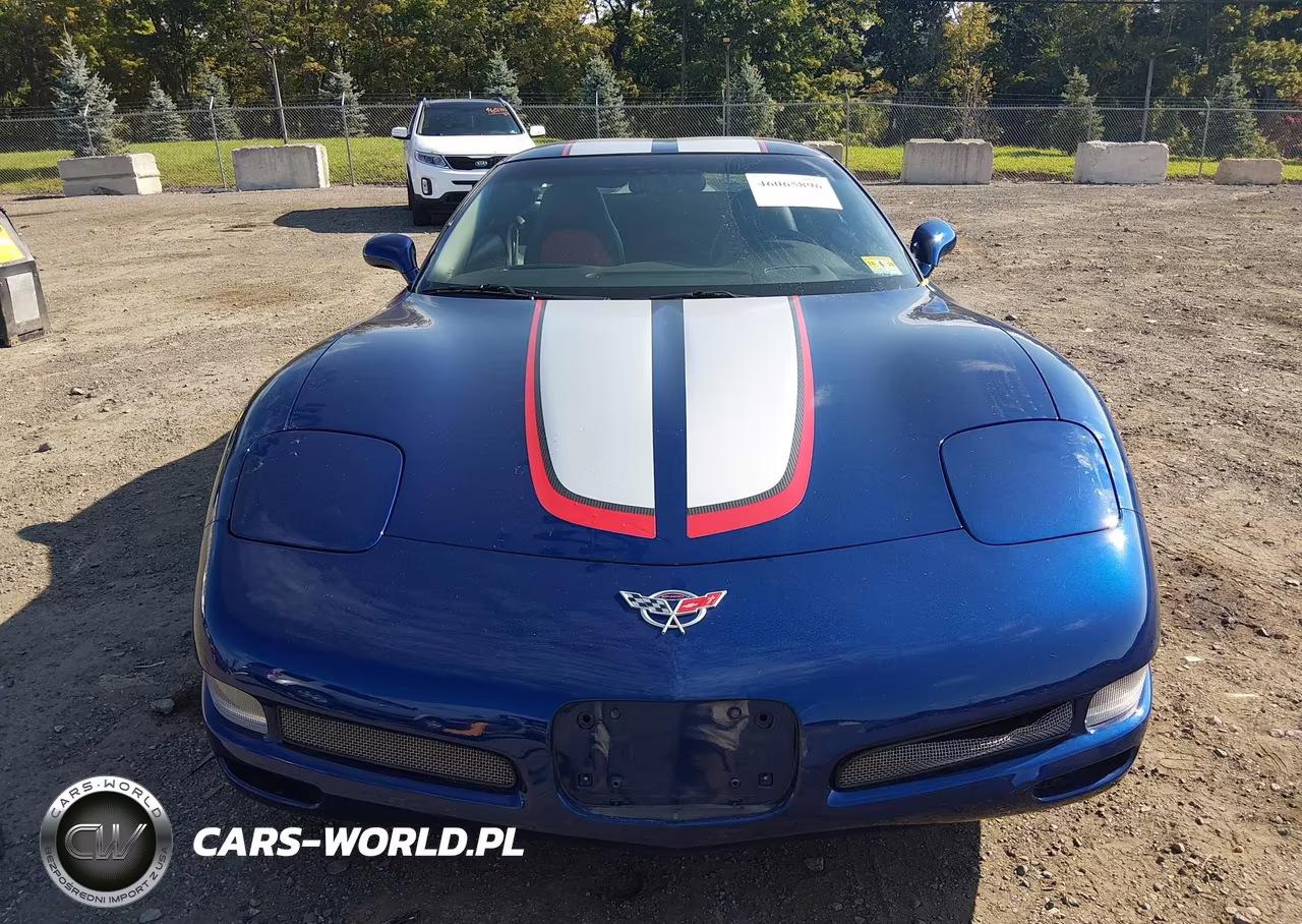 2004 Chevrolet Corvette Z06 Hardtop VIN:1G1YY12S945123555 - 12