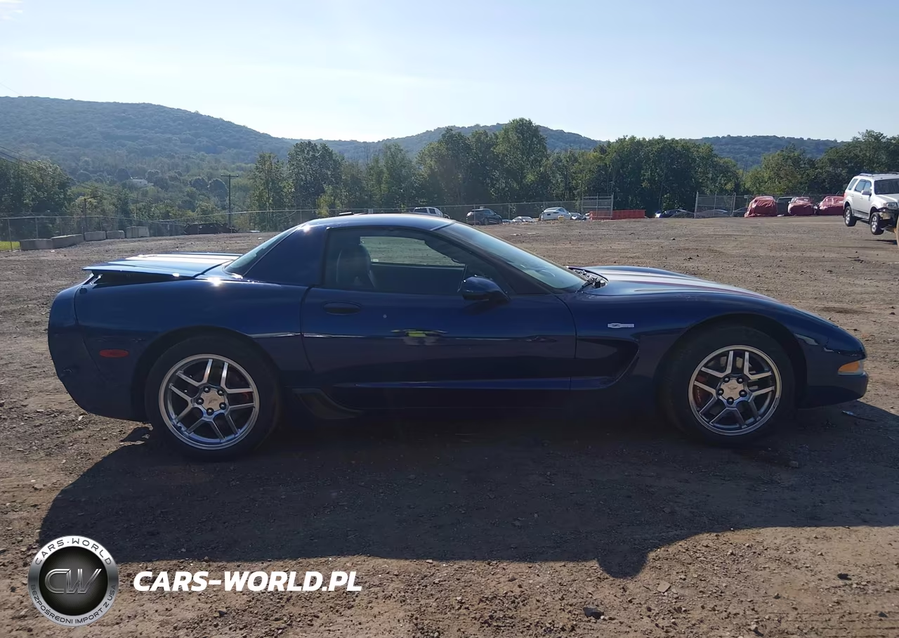 2004 Chevrolet Corvette Z06 Hardtop VIN:1G1YY12S945123555 - 13
