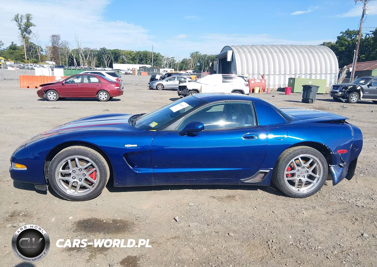 2004 Chevrolet Corvette Z06 Hardtop VIN:1G1YY12S945123555 - 14