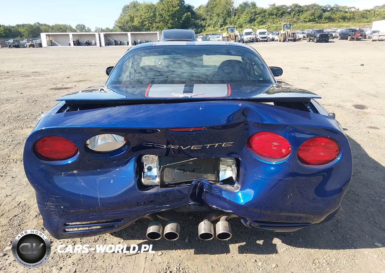 2004 Chevrolet Corvette Z06 Hardtop VIN:1G1YY12S945123555 - 16