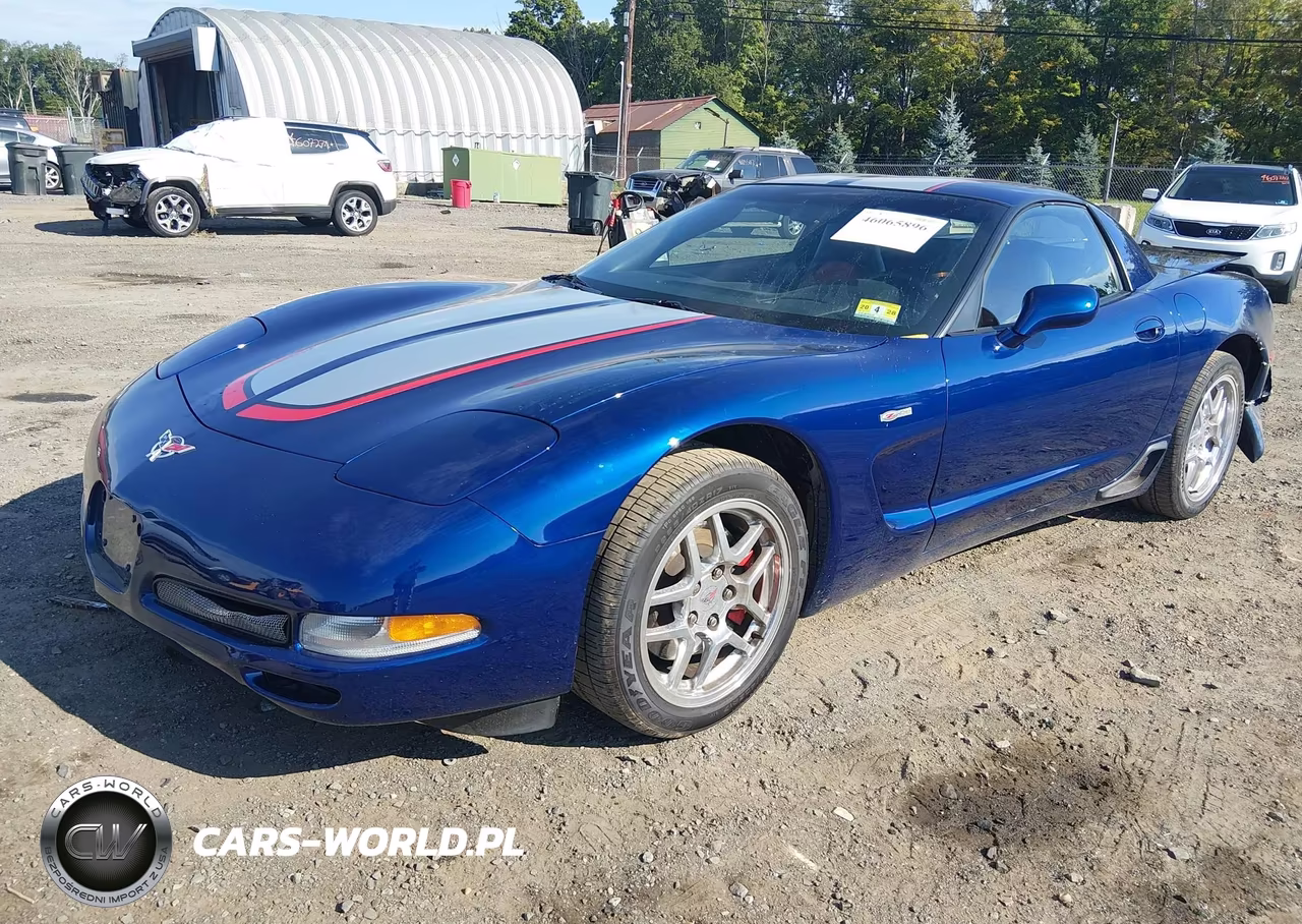 2004 Chevrolet Corvette Z06 Hardtop VIN:1G1YY12S945123555 - 2