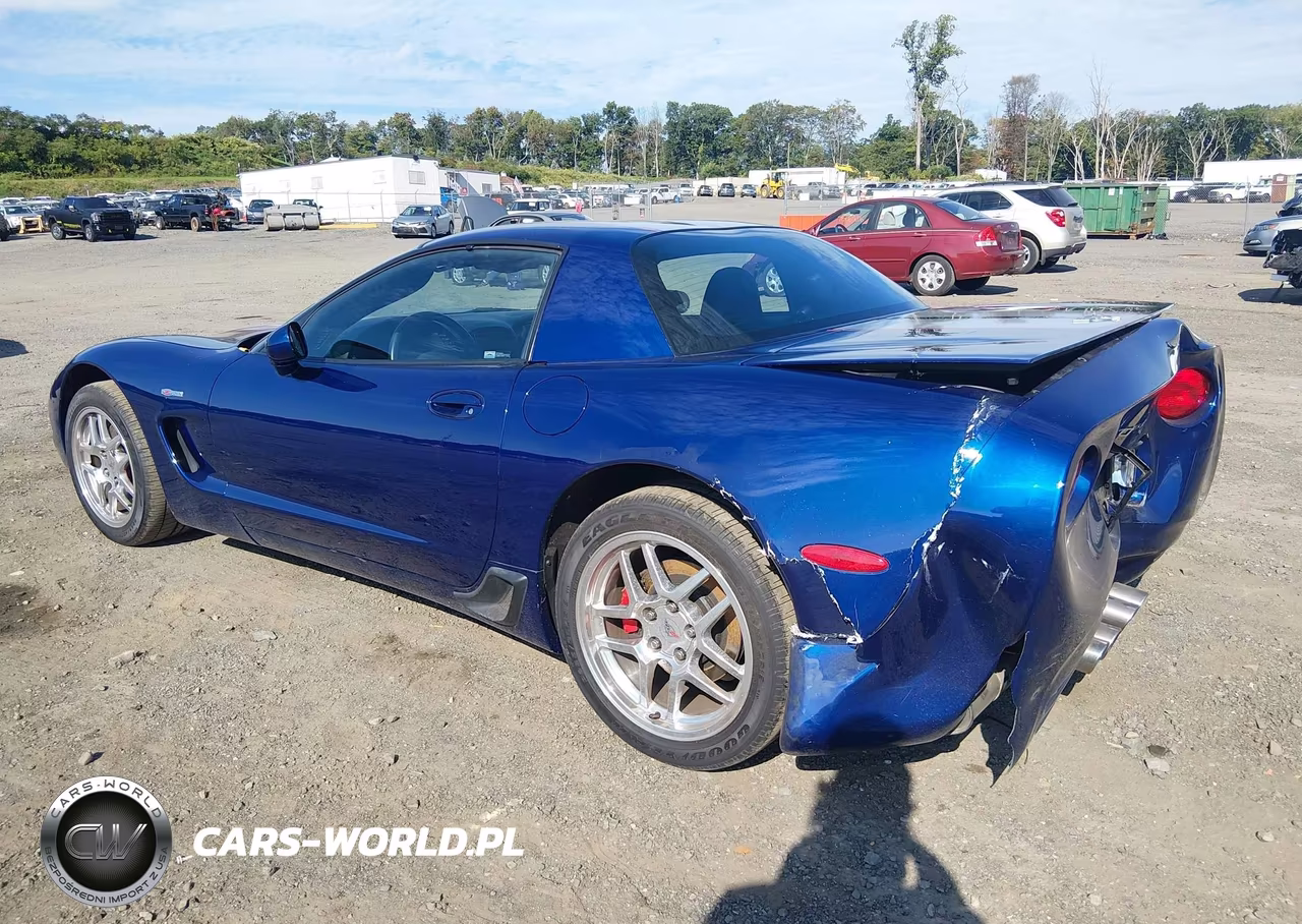 2004 Chevrolet Corvette Z06 Hardtop VIN:1G1YY12S945123555 - 3