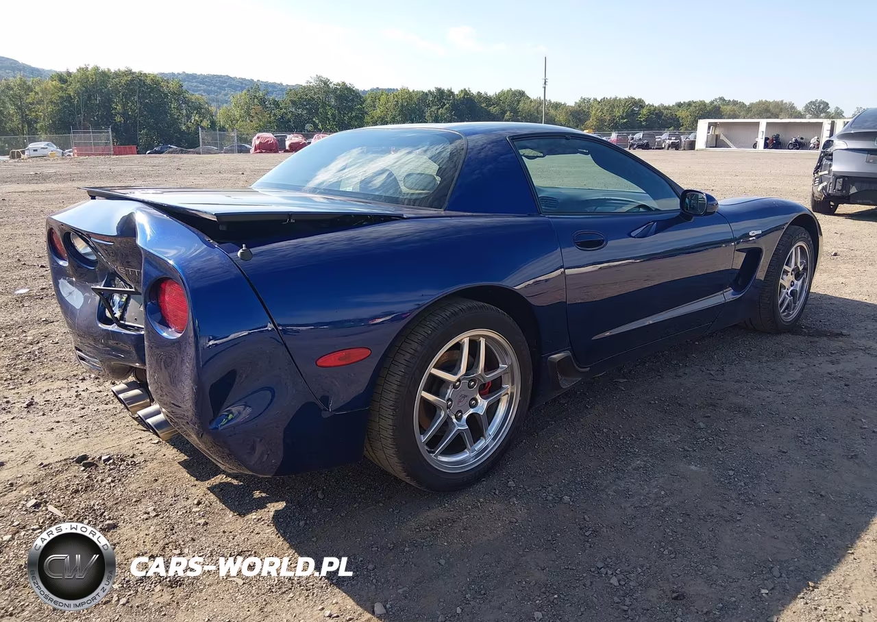 2004 Chevrolet Corvette Z06 Hardtop VIN:1G1YY12S945123555 - 4