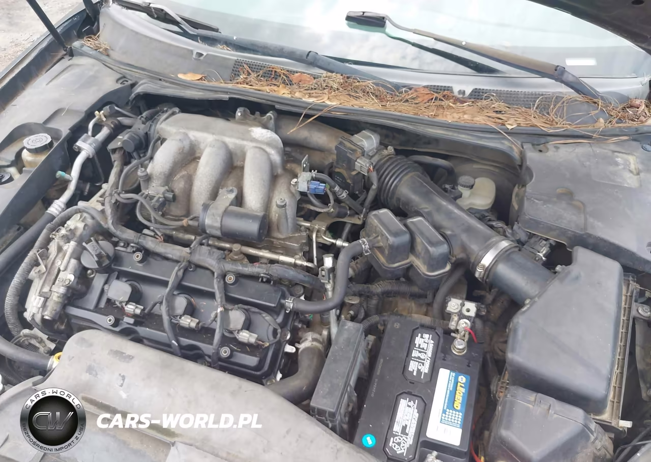 2008 Nissan Maxima 3.5 Se VIN:1N4BA41E08C819386 - 10