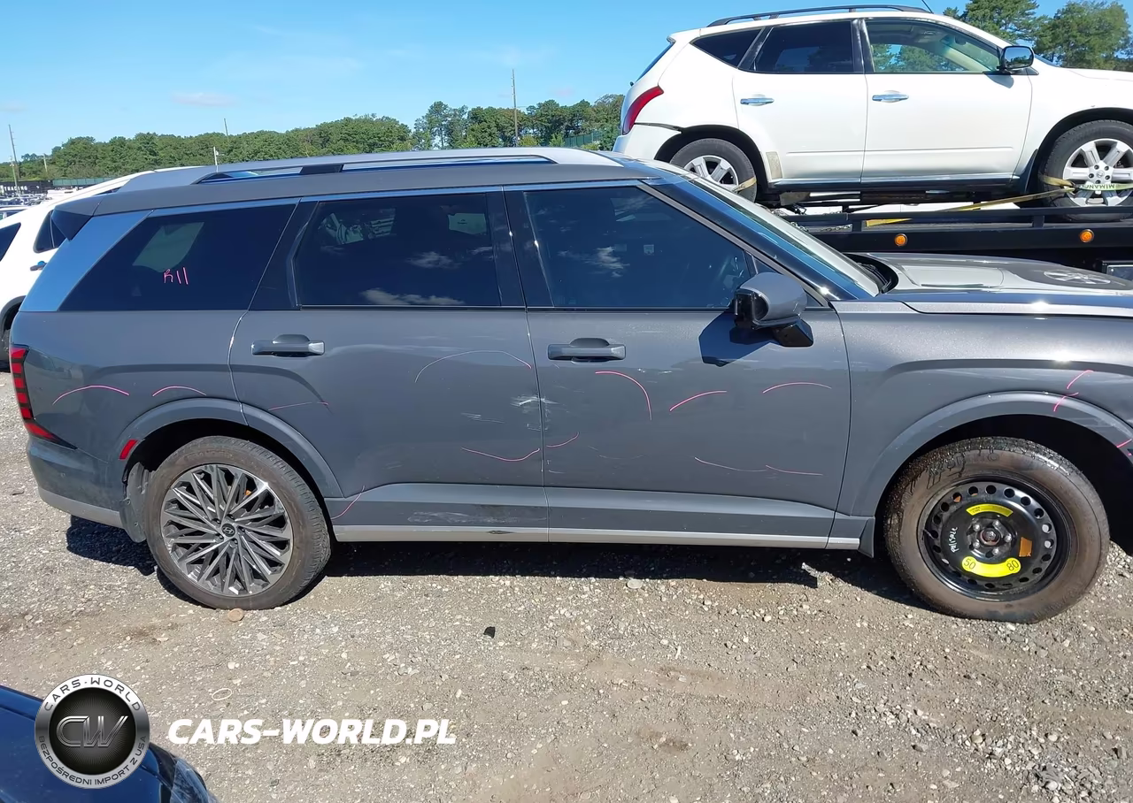 2026 Hyundai Palisade Calligraphy VIN:KM8RMES23TU031887 - 13